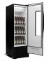 Cervejeira VN25T Beer Maxx 250 Inox